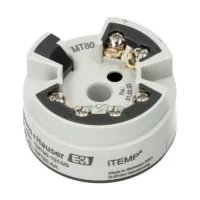 RTD Sıcaklık baş vericisi Endress+Hauser iTEMP TMT80-AA