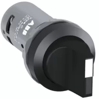 C2SS3-10B-10 ( Mandal buton, yaylı )