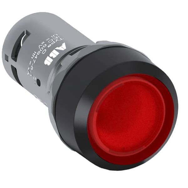 CP2-11R-10 ( Işıklı, kalıcı düz kafalı buton )