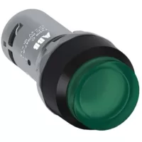 CP3-13G-10 ( Işıklı, yaylı, çıkık kafalı buton )